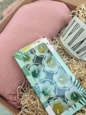 Muselina arrosa, katilua eta kandelak