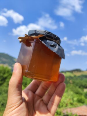 Gaztainondoaren eztia 400 g