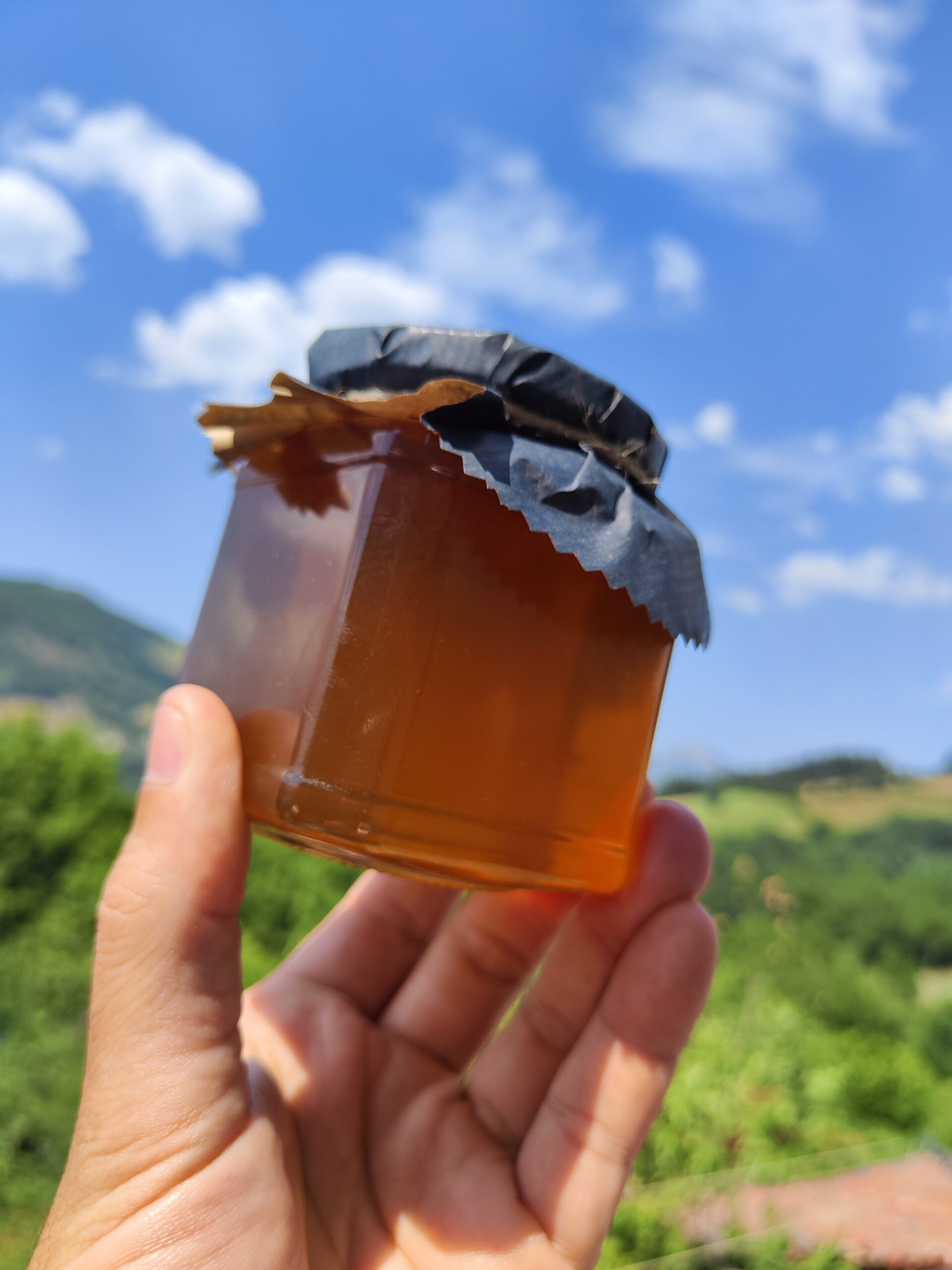 Gaztainondoaren eztia 400 g - Irudia 2